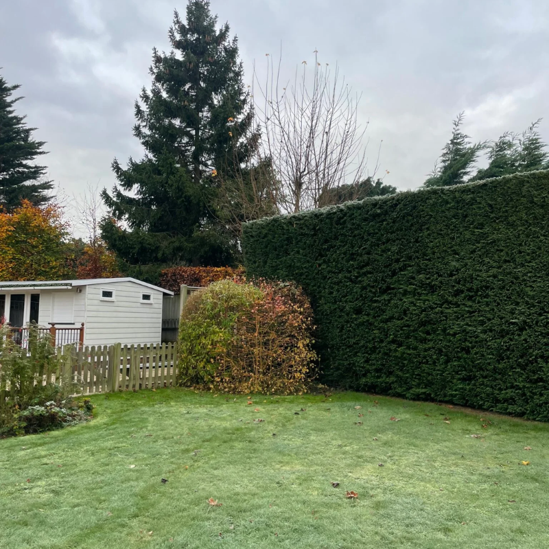 Hilarie Tonbridge Before Resized